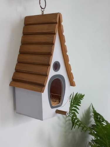 Bird house